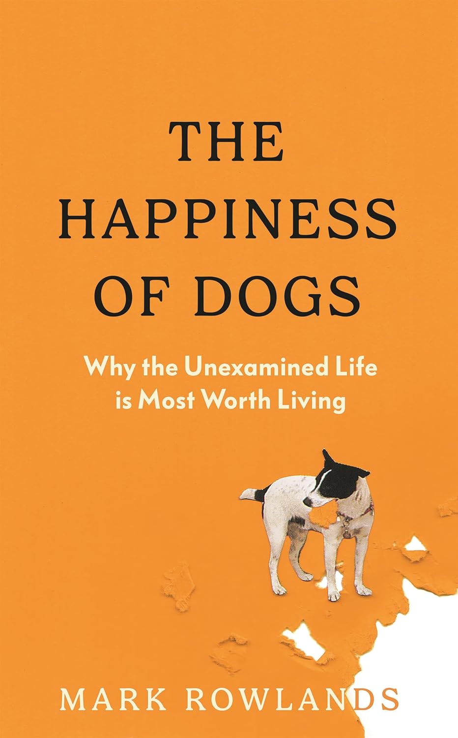 Cover of the happiness of dogs: why the unexamined life is the most worth living